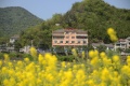 杭州市临安区青山湖康寿养老院