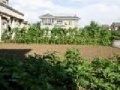 沈阳常青藤老年公寓